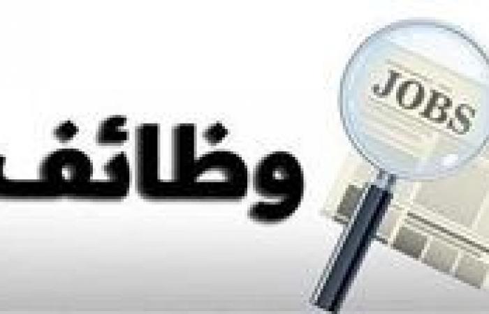 براتب 100000..تفاصيل توفير 90 فرصة عمل جديدة للمصريين في قطاع الفاست فود - الصبح