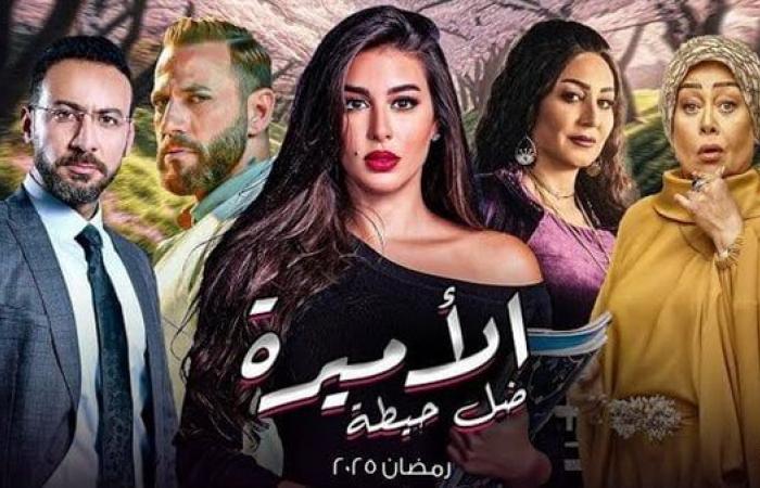 مسلسل الأميرة ياسمين صبري.. موعد عرض «ظل حيطة» والقنوات الناقلة - الصبح